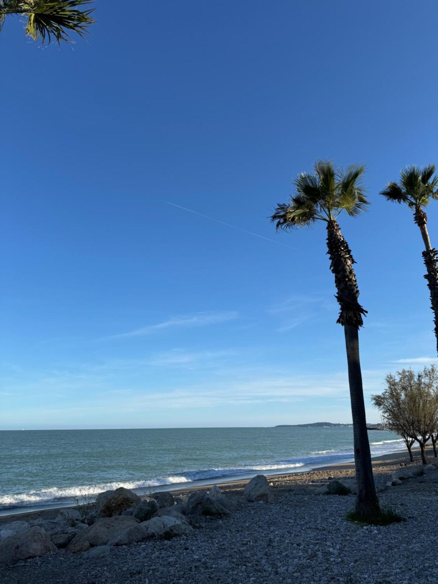 L'Appart Ideal Famille, Terrasse, Piscine, Plage Villeneuve-Loubet Exteriér fotografie